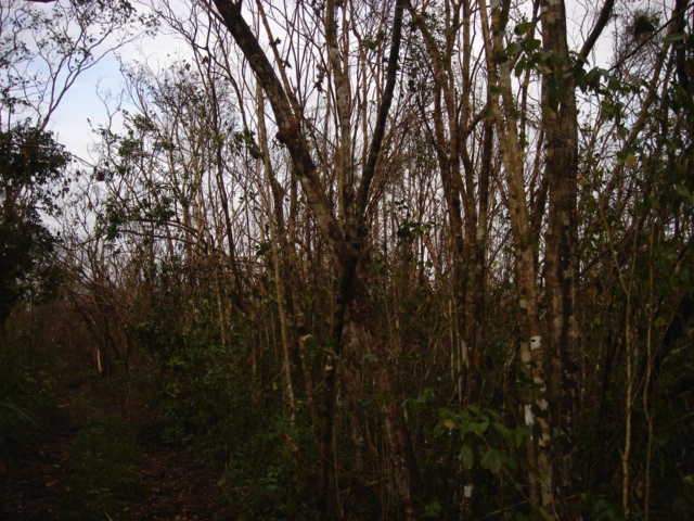dsc00456.jpg